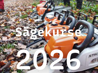 Motorsägenkurs – Einführung und Grundlagen